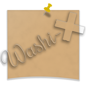 Washi-X Papers Pinned memo