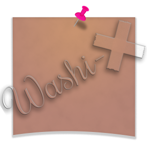 Washi-X Papers Pinned memo