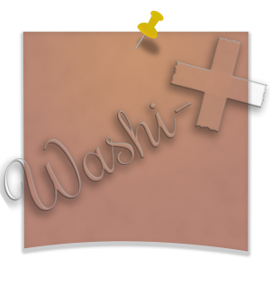 Washi-X Papers Pinned memo