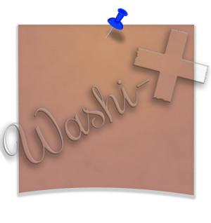 Washi-X Papers Pinned memo